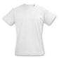 TRENDSWEAR Original Womens TShirt